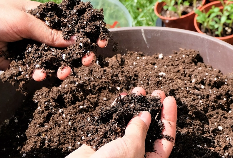 培養土使用技巧