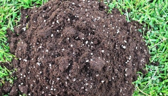 土壤白色顆粒原因