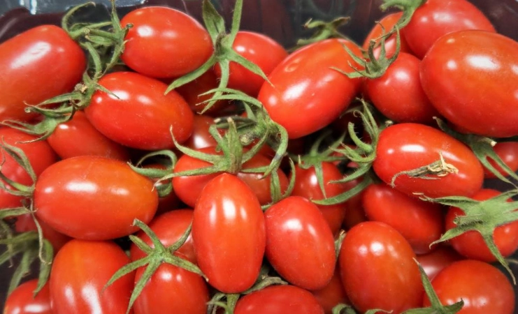 小番茄營養價值