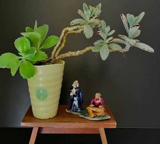 花盆底網安裝方法 花盆底網安裝方法