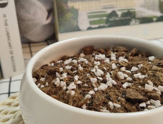 泥炭土多肉养护