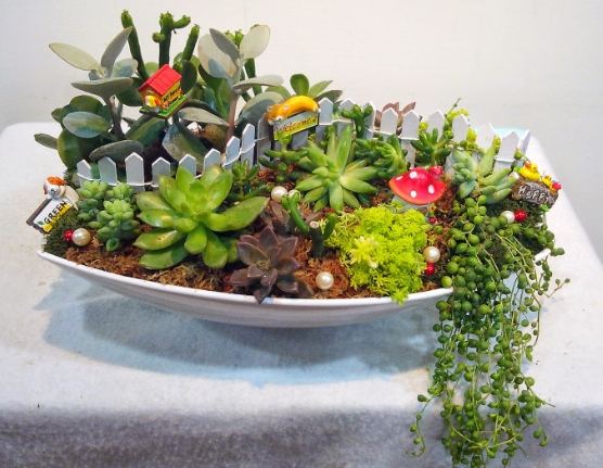 多肉植物盆栽設計