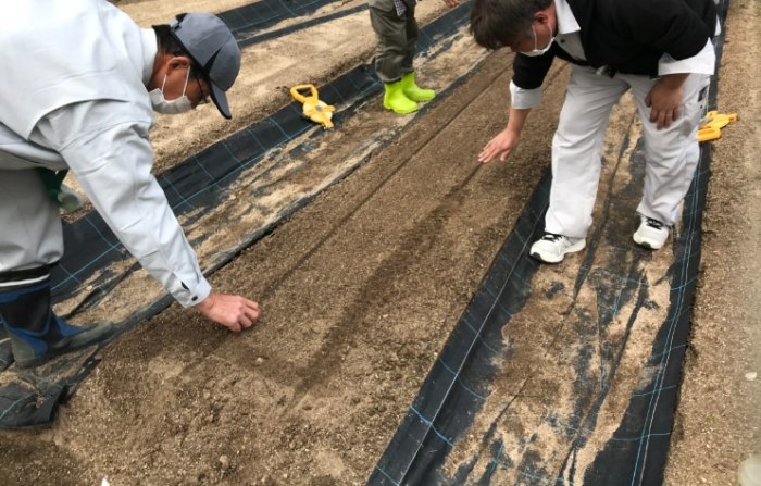 農業播種方法 農業播種方法