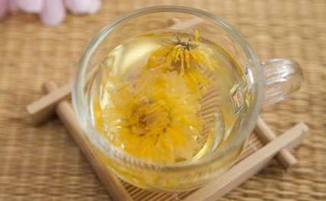 喉嚨痛 菊花茶 喉嚨痛 菊花茶