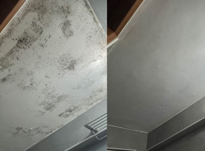 浴室天花板發霉怎麼清 浴室天花板發霉怎麼清