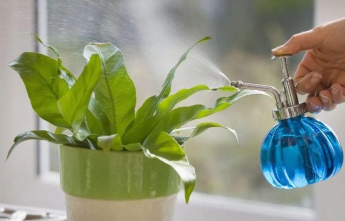 自製酸性水方法