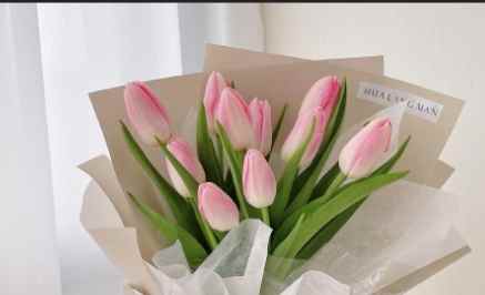 思念家人的花卉 思念家人的花卉