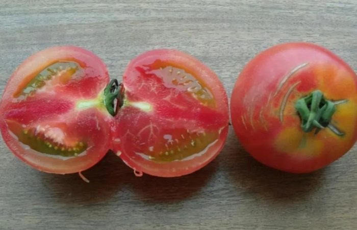 番茄籽食用方法 番茄籽食用方法