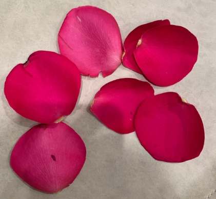 花卉花瓣 花卉花瓣