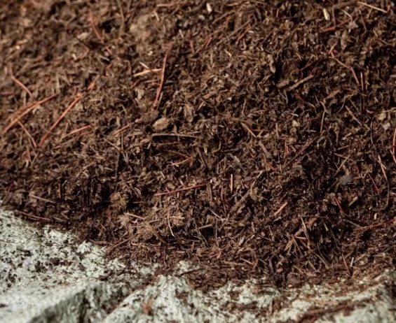 有機培養土推薦