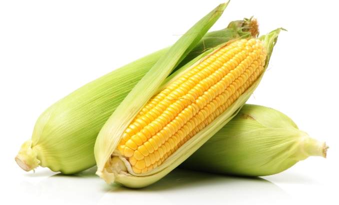 粟米與玉米差別