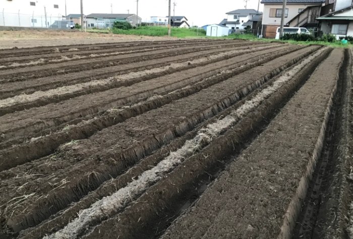 農業播種方法 農業播種方法