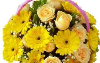 父親節送什麼花 父親節送什麼花