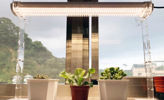 植物燈有紫外線嗎