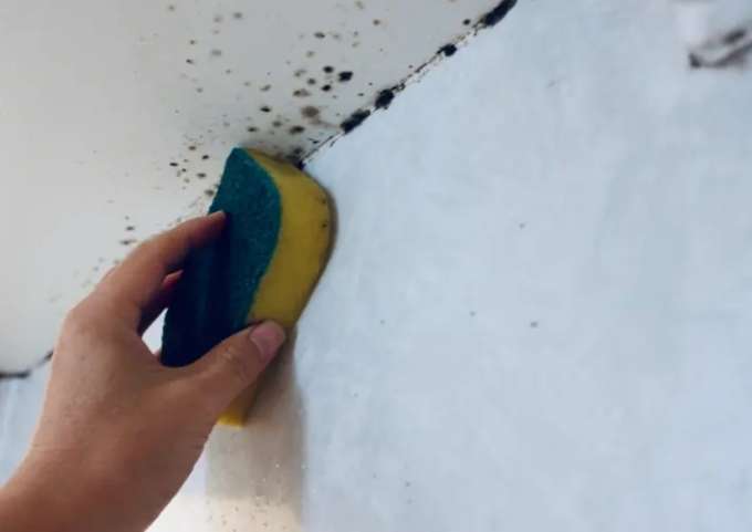 浴室霉斑清除 浴室霉斑清除