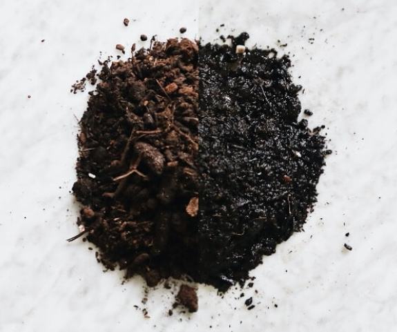 土壤太濕怎麼辦