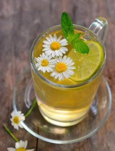 菊花茶 功效 菊花茶 功效