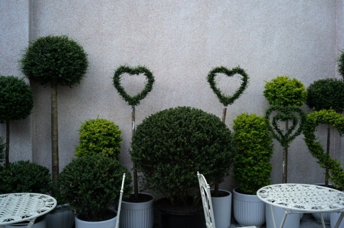 办公桌植物摆放位置 办公桌植物摆放位置