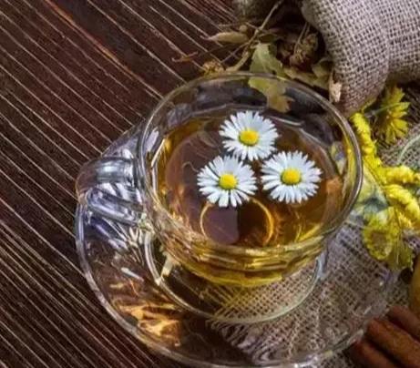 菊花茶 功效 菊花茶 功效