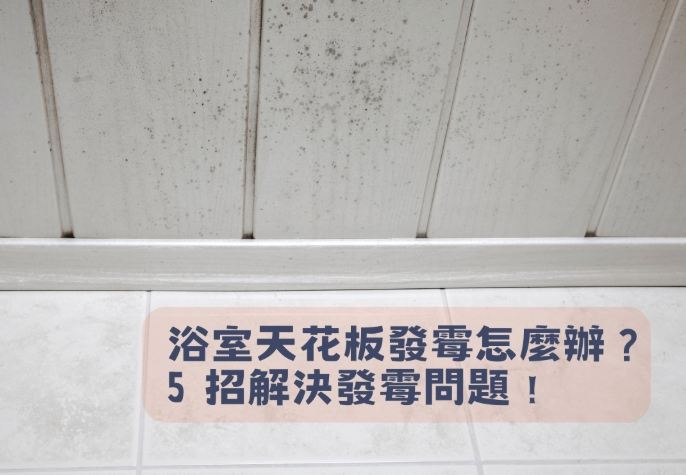 天花板霉斑處理 天花板霉斑處理