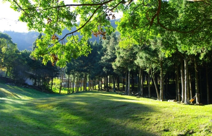 惠蓀林場怎麼玩 惠蓀林場怎麼玩