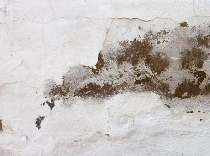 天花板霉斑清除 天花板霉斑清除