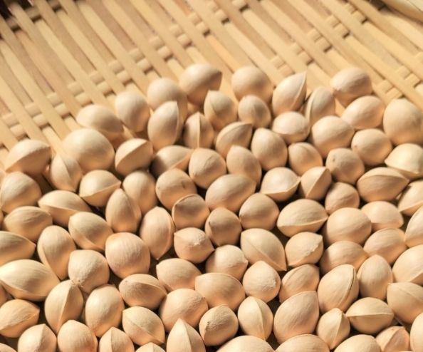 銀杏樹栽培技巧 銀杏樹栽培技巧