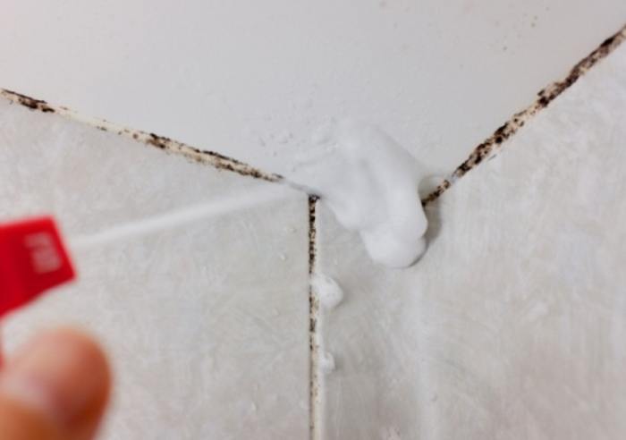 浴室霉斑清除 浴室霉斑清除