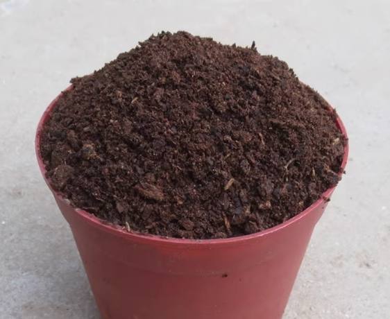 赤玉土使用教學