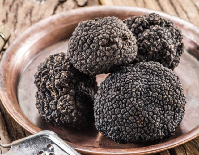 黑松果實種植技巧 黑松果實種植技巧