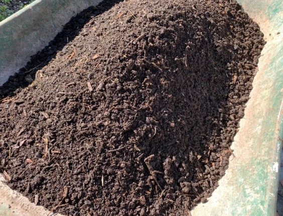 有機培養土推薦