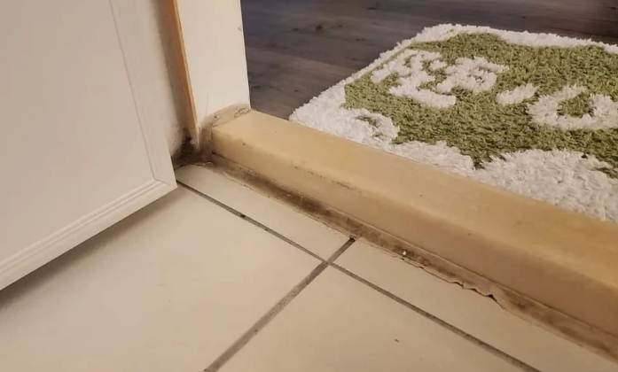 矽利康發霉處理 矽利康發霉處理