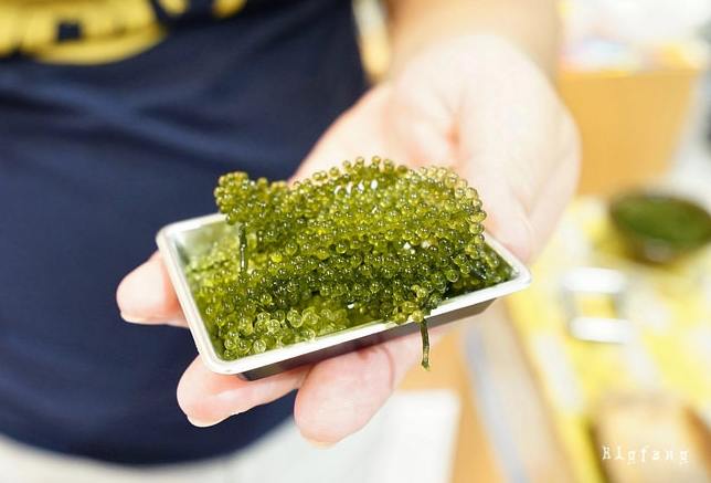 海葡萄可以帶回台灣嗎 海葡萄可以帶回台灣嗎