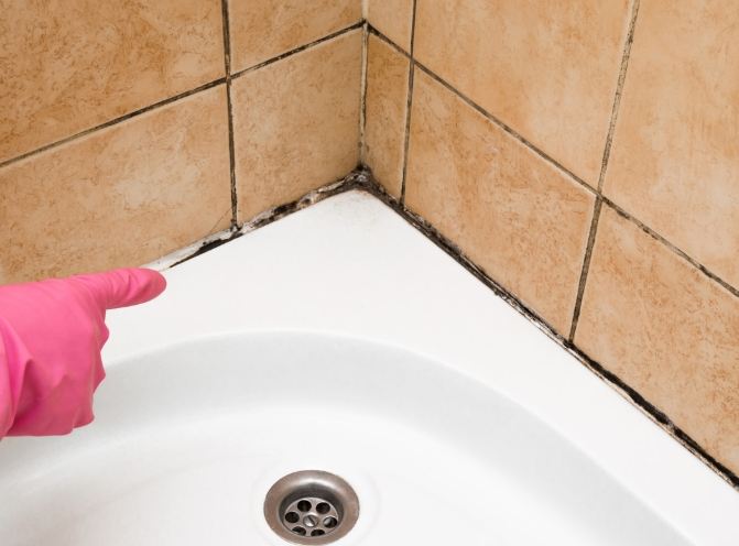 浴室發霉小蘇打 浴室發霉小蘇打