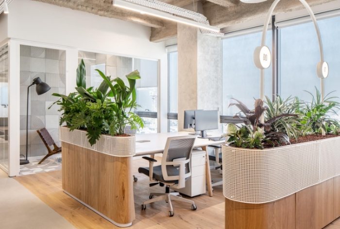 办公室植物风水 办公室植物风水