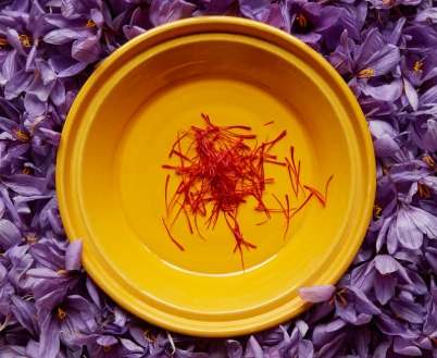 藏紅花功效 藏紅花功效