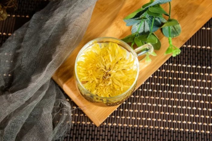 菊花茶副作用 菊花茶副作用