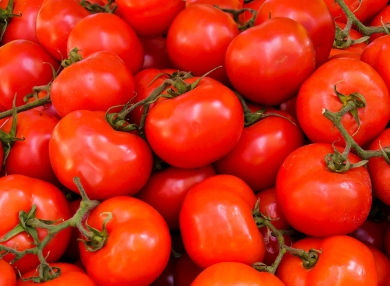 咳嗽可以吃番茄炒蛋嗎