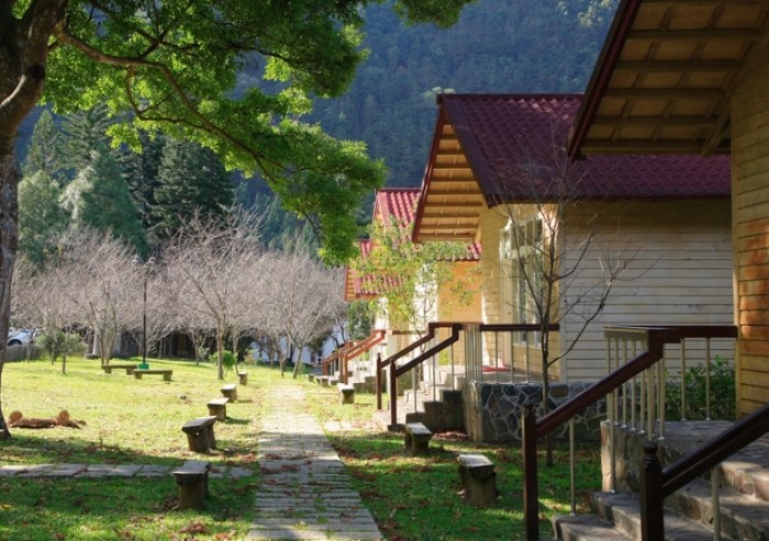 南投惠蓀林場景點 南投惠蓀林場景點