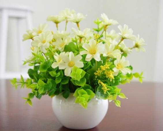 全日照全年開花植物