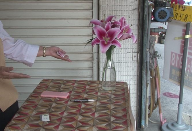 桌面植物养护 桌面植物养护