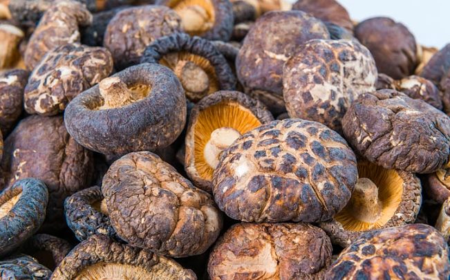 攜帶香菇回台灣規定 攜帶香菇回台灣規定