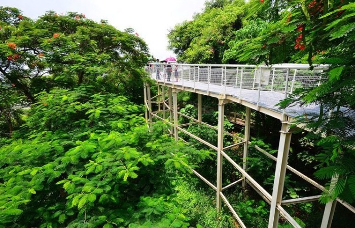 苗栗三天兩夜行程 苗栗三天兩夜行程