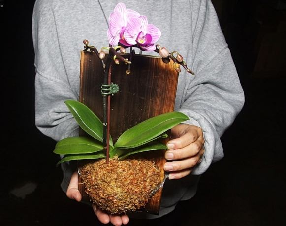 上板材料選擇 上板材料選擇