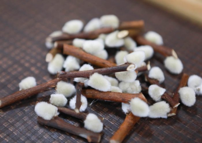 銀柳護理 銀柳護理