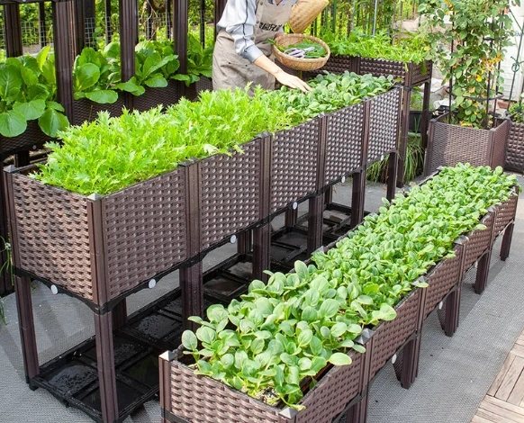 阳台蔬菜种植容器 阳台蔬菜种植容器