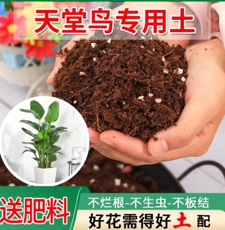 天堂鳥土 天堂鳥土