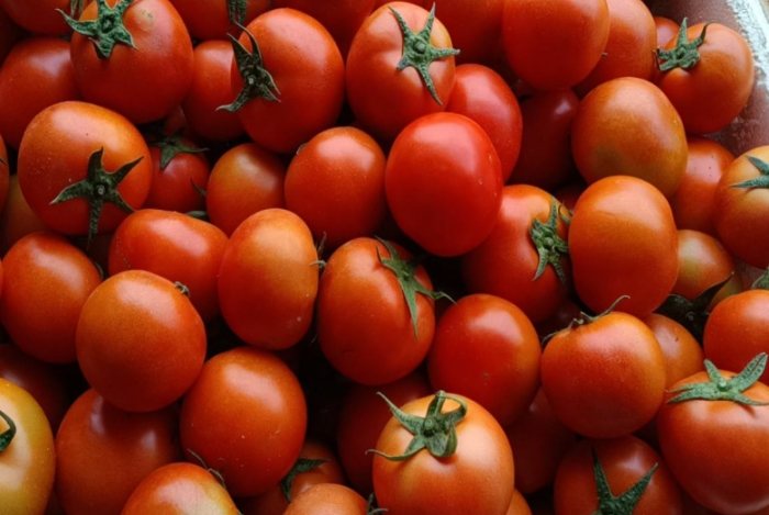 番茄籽健康風險