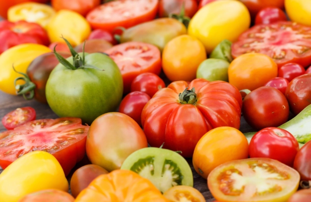 咳可唔可以食蕃茄 咳可唔可以食蕃茄