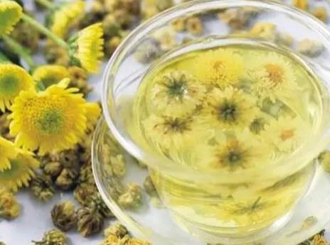 菊花茶止咳 菊花茶止咳